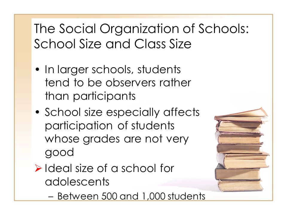 school as a social organization