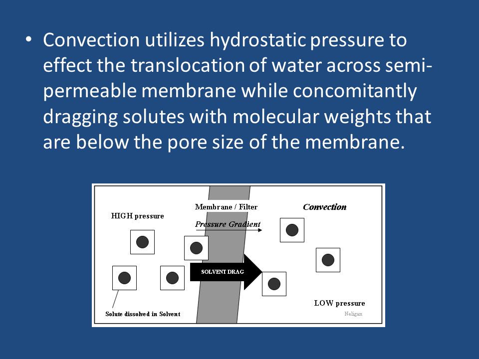 Convection utilizes hydrostatic pressure to effect the translocation of water across semi-permeable membrane while concomitantly dragging solutes with molecular weights that are below the pore size of the membrane.