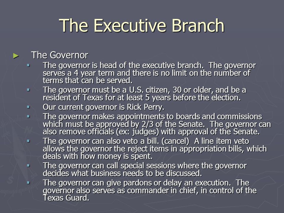 The Executive Branch The Governor