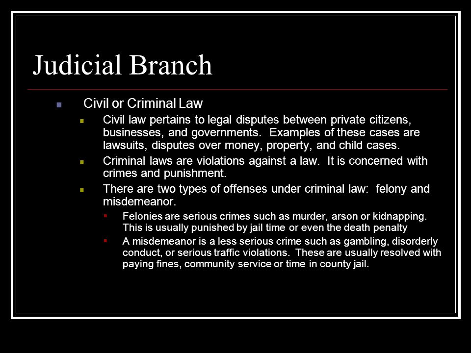 Judicial Branch Civil or Criminal Law