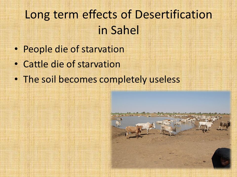 Long term effects of Desertification in Sahel