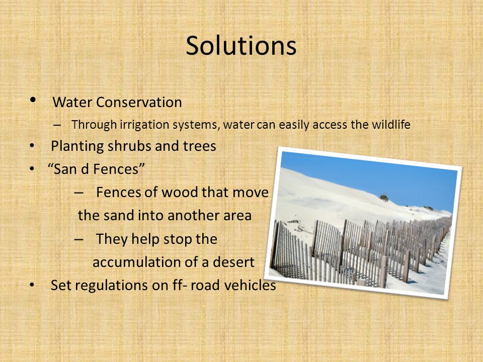 Solutions Water Conservation Planting shrubs and trees San d Fences