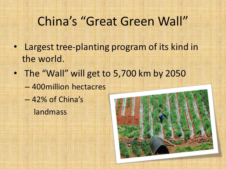 China’s Great Green Wall
