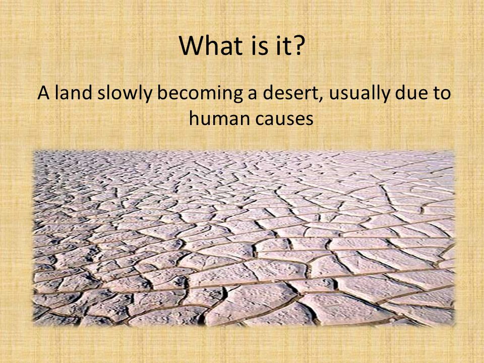 A land slowly becoming a desert, usually due to human causes