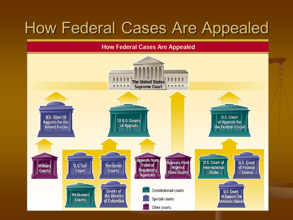 How Federal Cases Are Appealed
