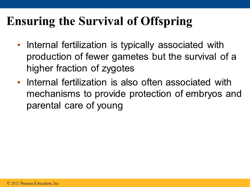 Ensuring the Survival of Offspring