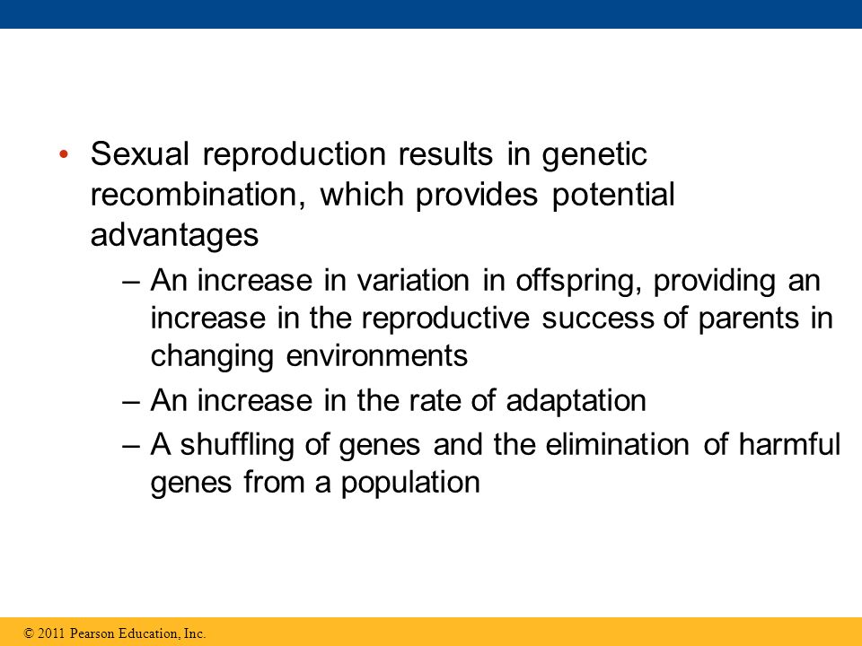 Sexual reproduction results in genetic recombination, which provides potential advantages