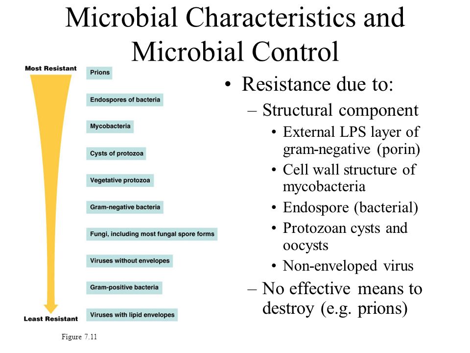 Microbial Characteristics and Microbial Control
