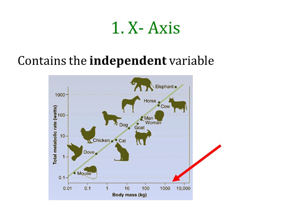1. X- Axis Contains the independent variable