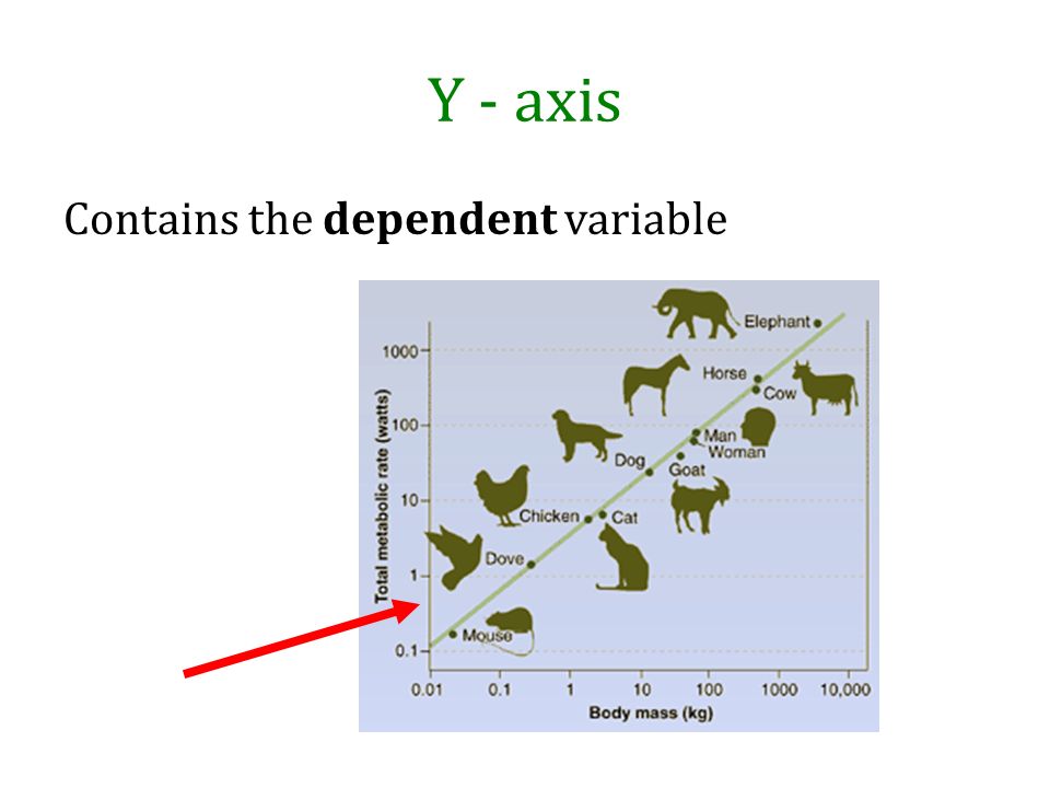 Y - axis Contains the dependent variable