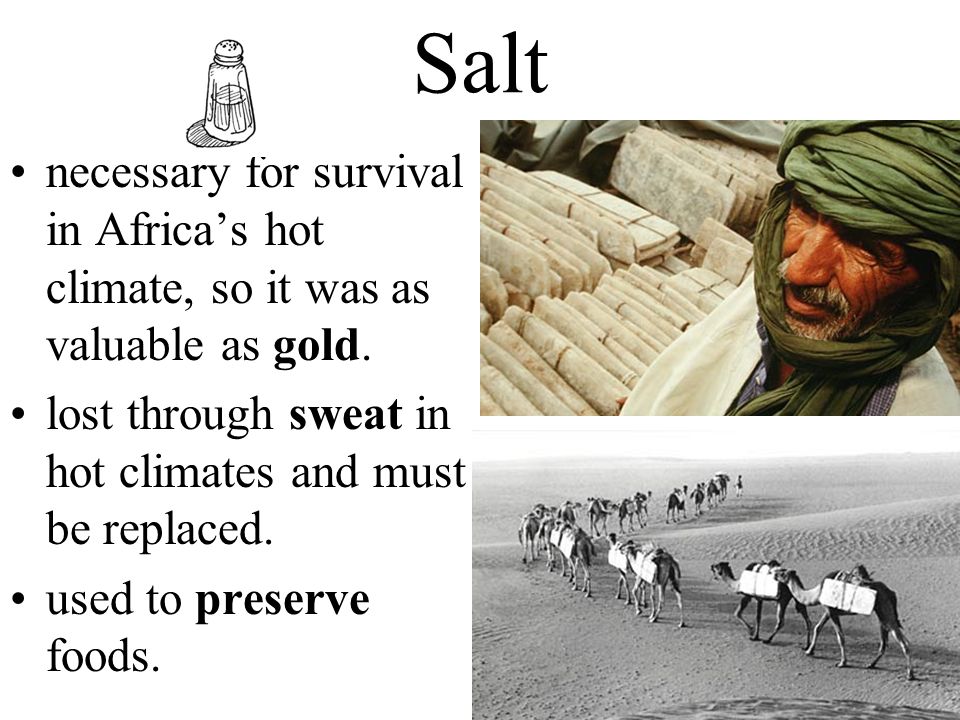 Salt necessary for survival in Africa’s hot climate, so it was as valuable as gold. lost through sweat in hot climates and must be replaced.