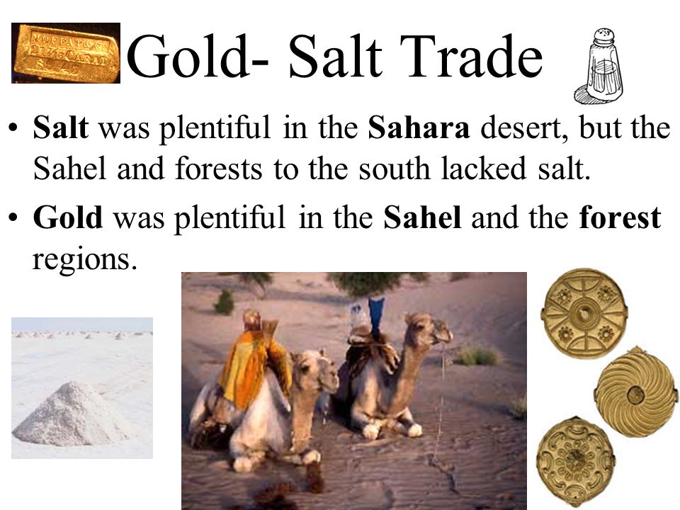 Gold- Salt Trade Salt was plentiful in the Sahara desert, but the Sahel and forests to the south lacked salt.