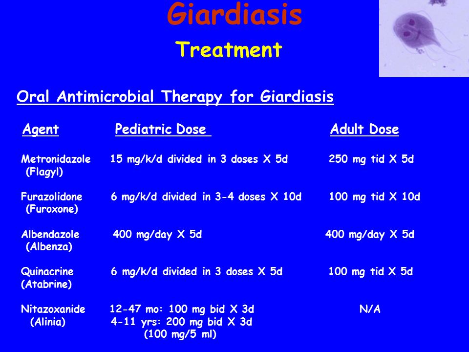 giardia treatment in humans dosage