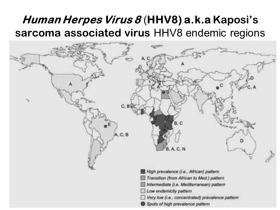 Human herpes