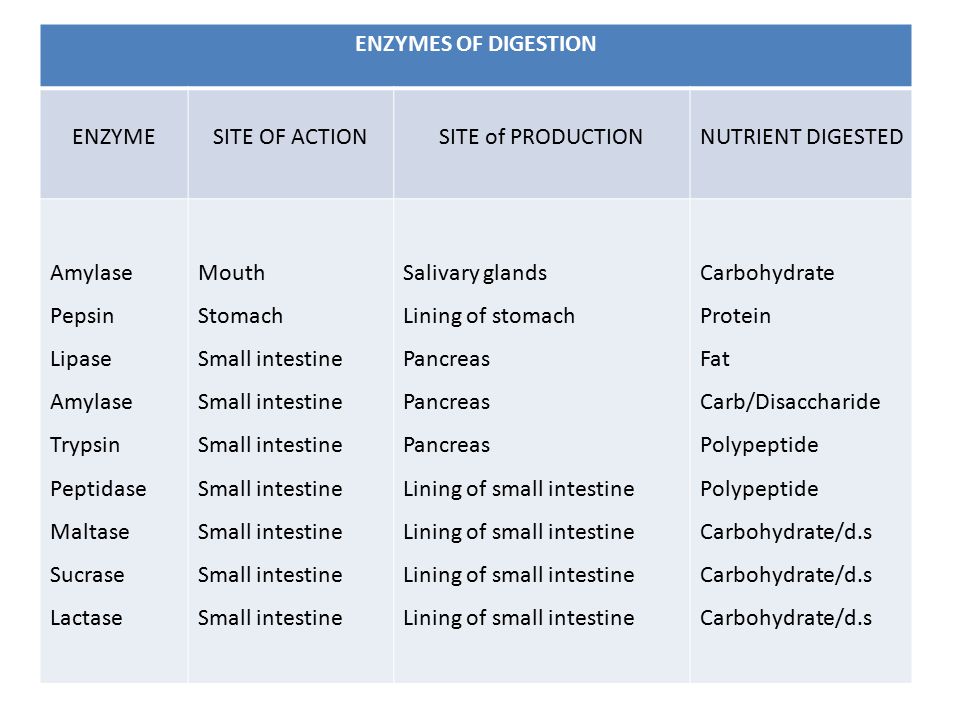 ENZYMES OF DIGESTION ENZYME. SITE OF ACTION. SITE of PRODUCTION. NUTRIENT DIGESTED. Amylase. Pepsin.