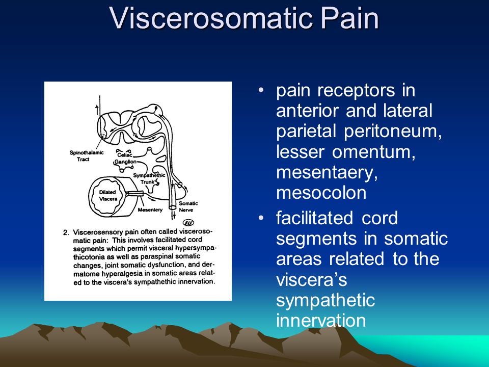 viscerosomatic