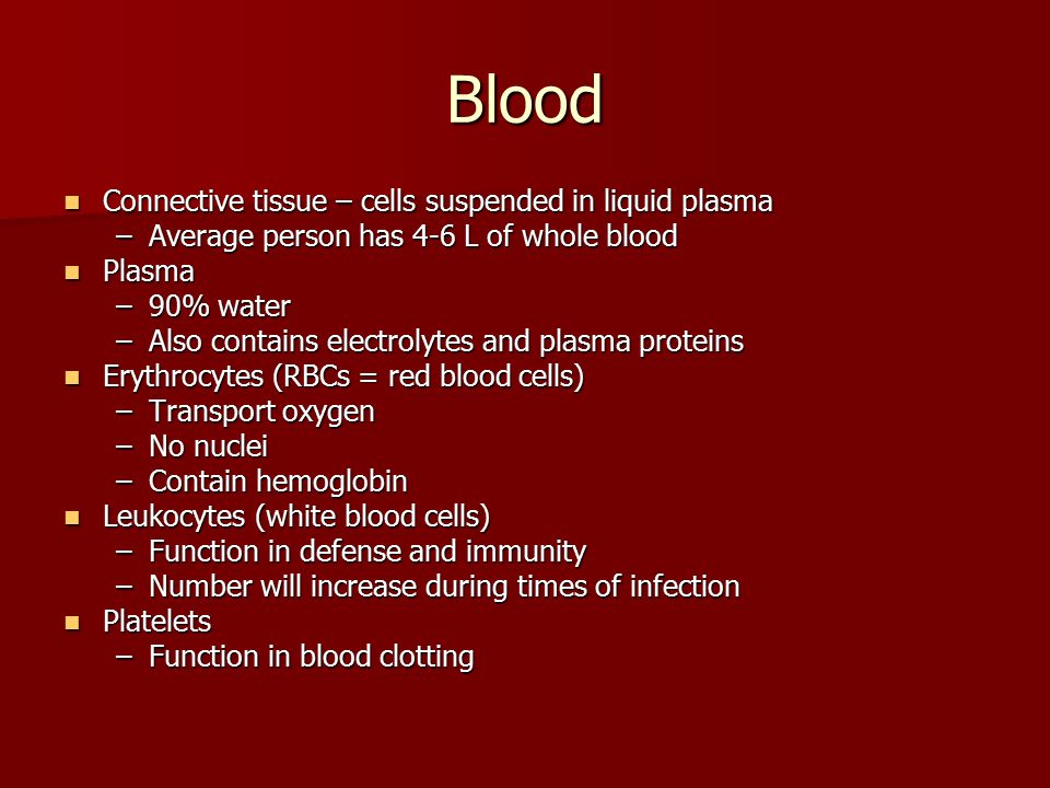 Blood Connective tissue – cells suspended in liquid plasma