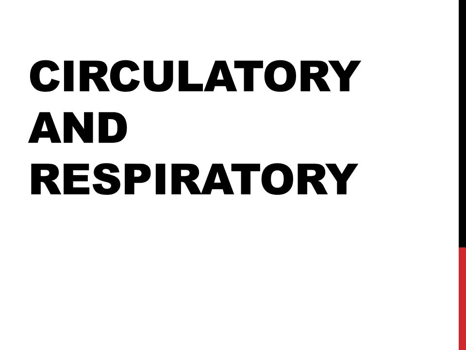 Circulatory and respiratory