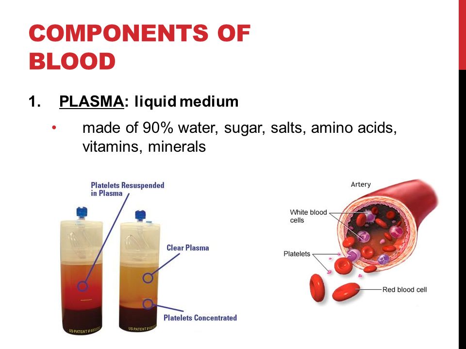 Components of blood PLASMA: liquid medium