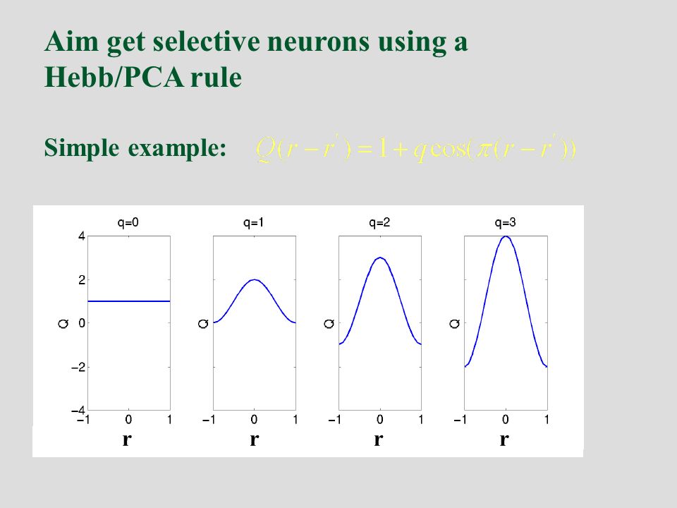 Aim get selective neurons using a Hebb/PCA rule