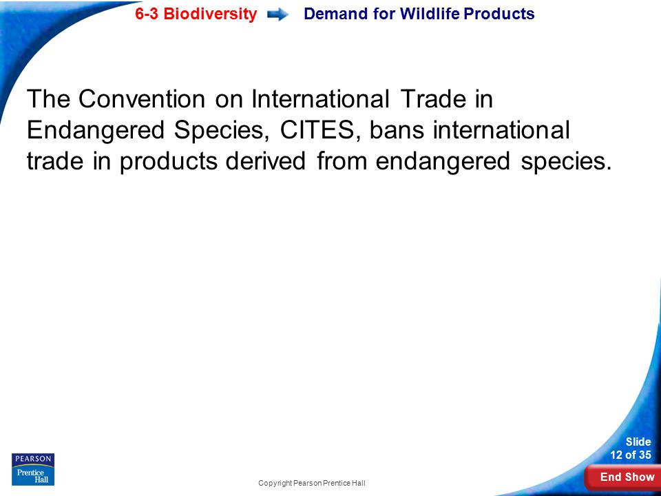 Demand for Wildlife Products