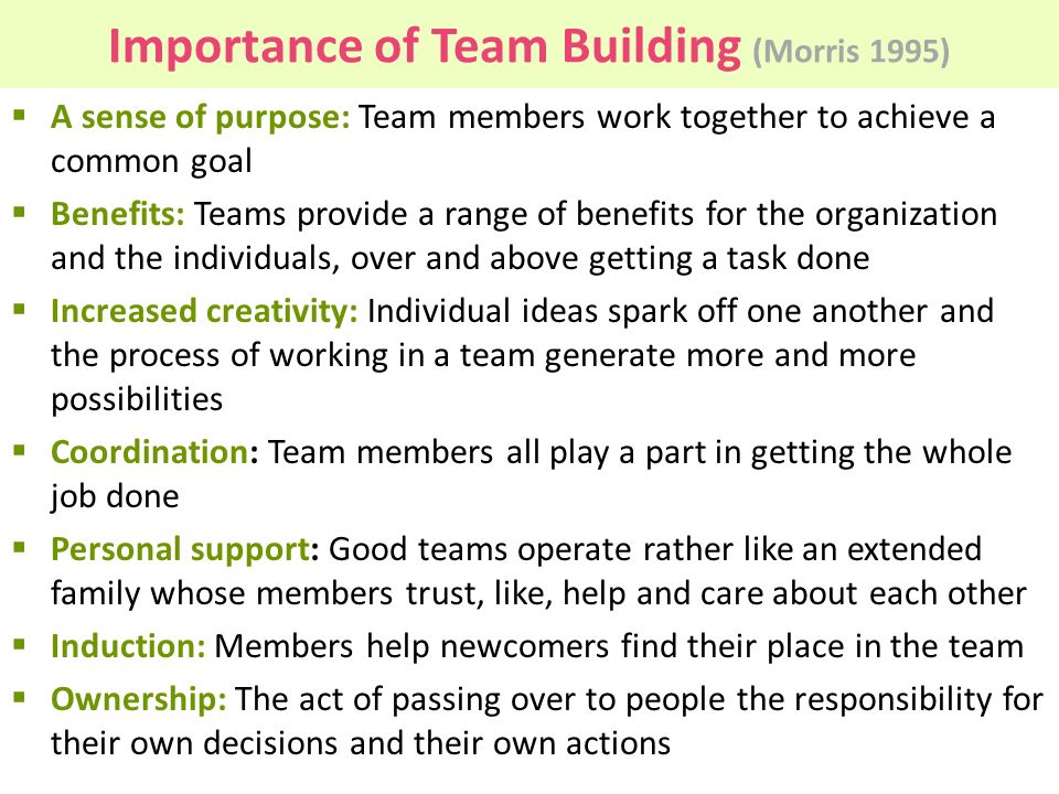 Importance of Team Building (Morris 1995)
