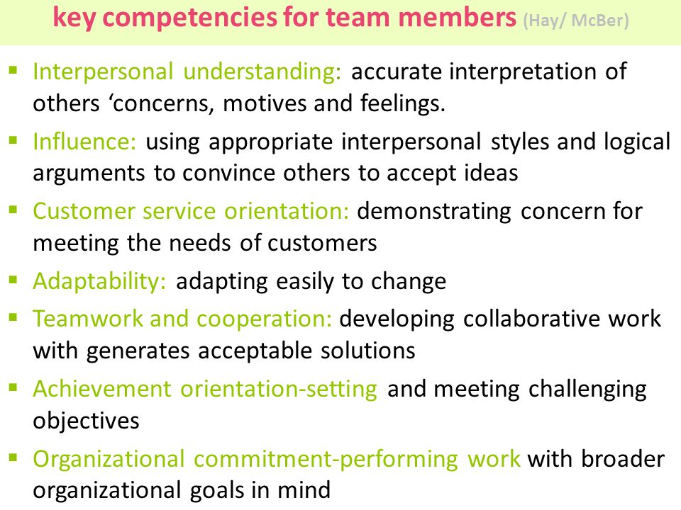 key competencies for team members (Hay/ McBer)