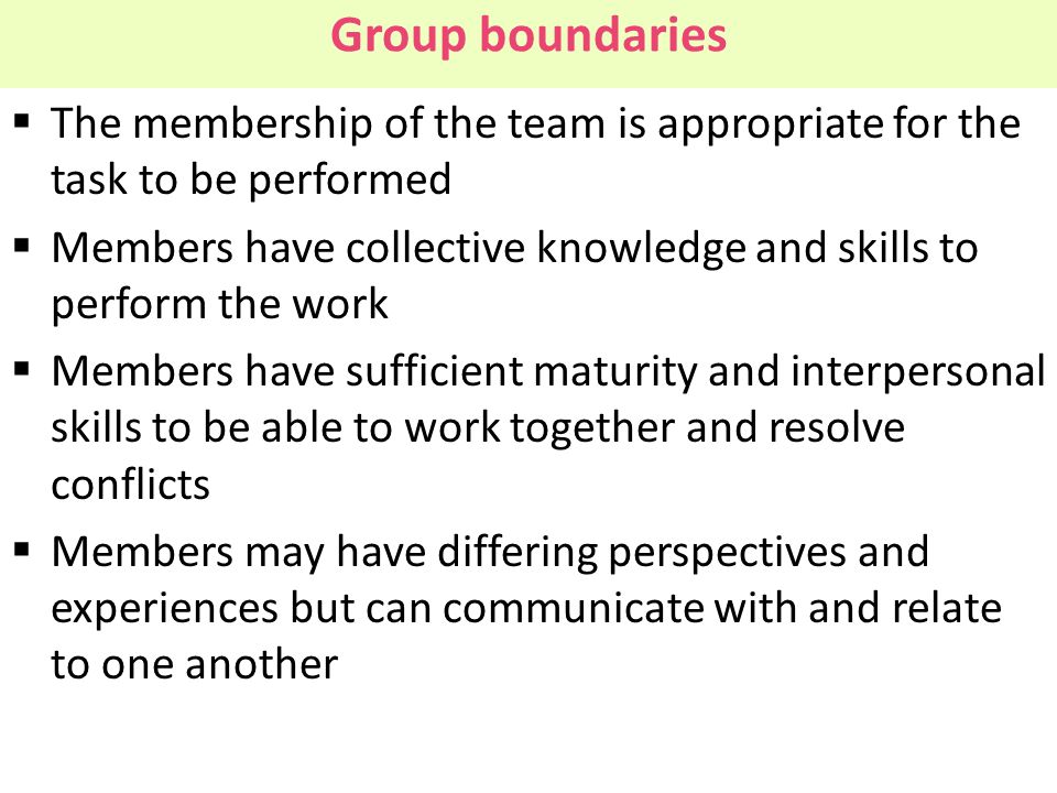 Group boundaries The membership of the team is appropriate for the task to be performed.