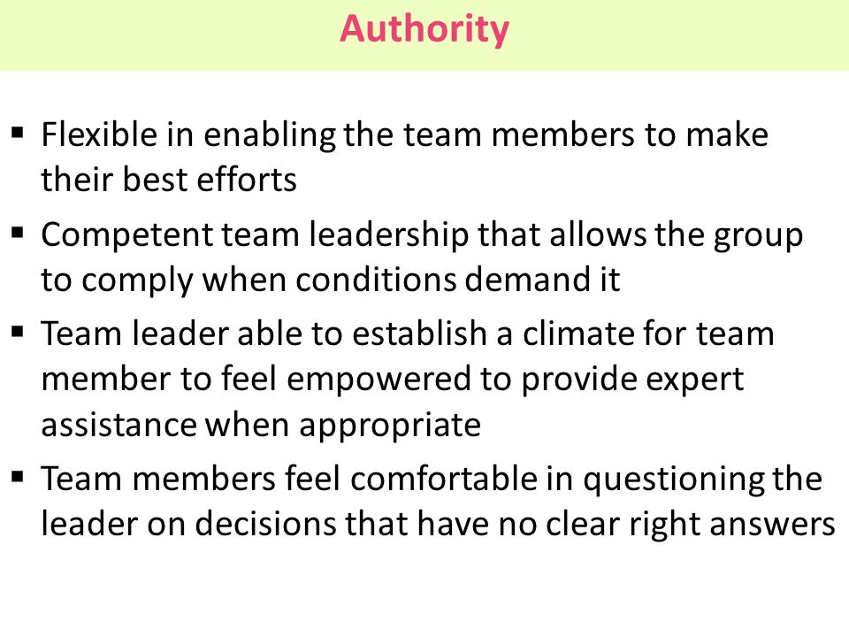 Authority Flexible in enabling the team members to make their best efforts.