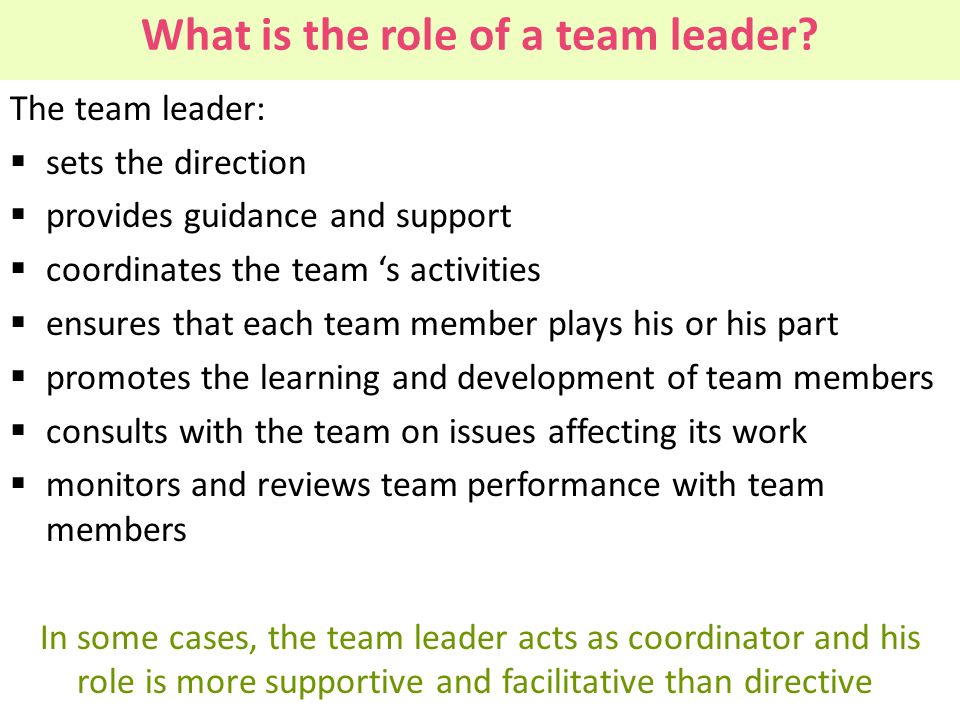 What is the role of a team leader
