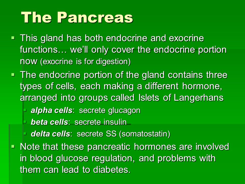 The Endocrine System Ppt Download The Endocrine System Ppt Download
