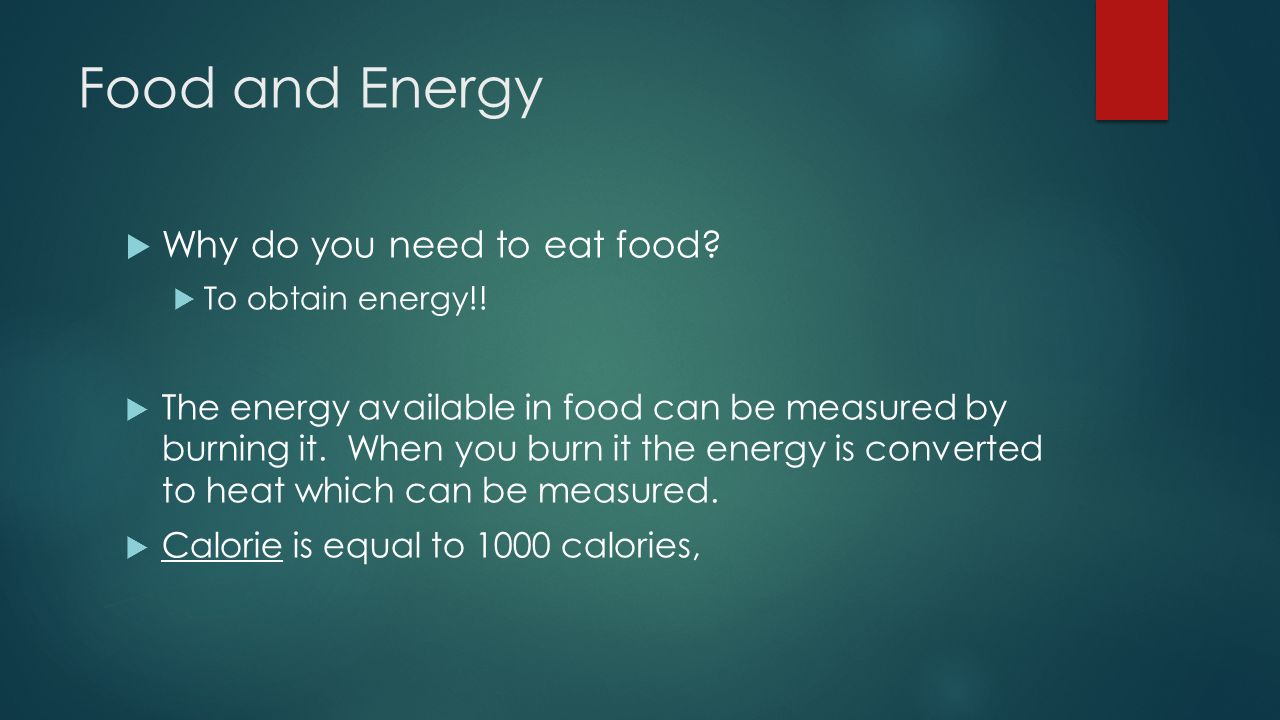 Food and Energy Why do you need to eat food