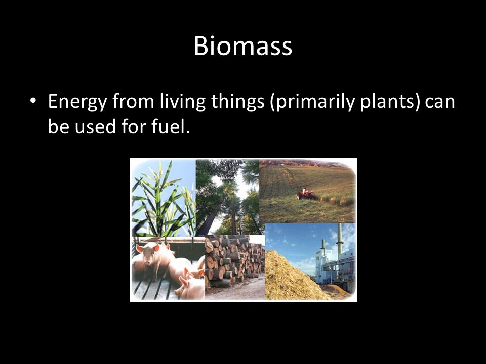 Biomass Energy from living things (primarily plants) can be used for fuel.
