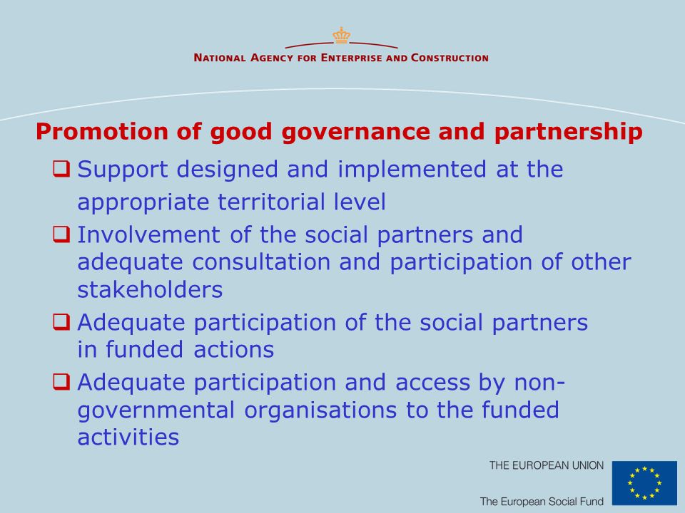 Promotion of good governance and partnership