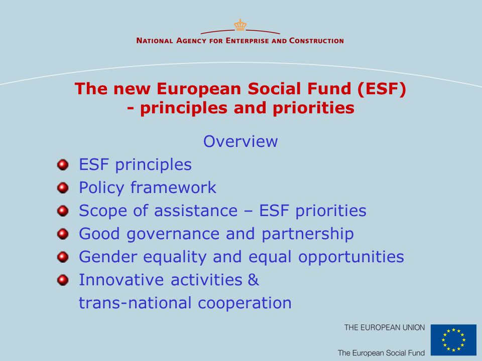 The new European Social Fund (ESF) - principles and priorities Overview