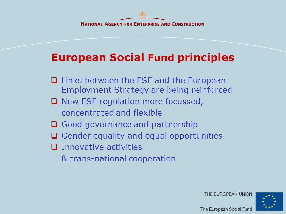 European Social Fund principles
