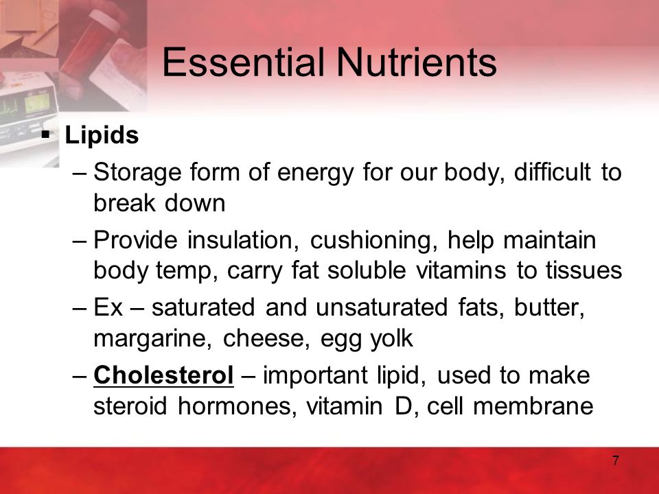 Essential Nutrients Lipids