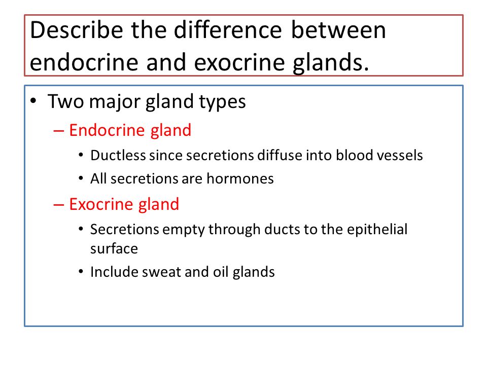 The Endocrine System And Hormone Function An Overview Define Hormone And Target Organ Describe How Hormones Bring About Their Effects In The Body Explain Ppt Video Online Download The Endocrine System And Hormone Function An Overview Define Hormone And Target Organ Describe How Hormones Bring About Their Effects In The Body Explain Ppt Video Online Download