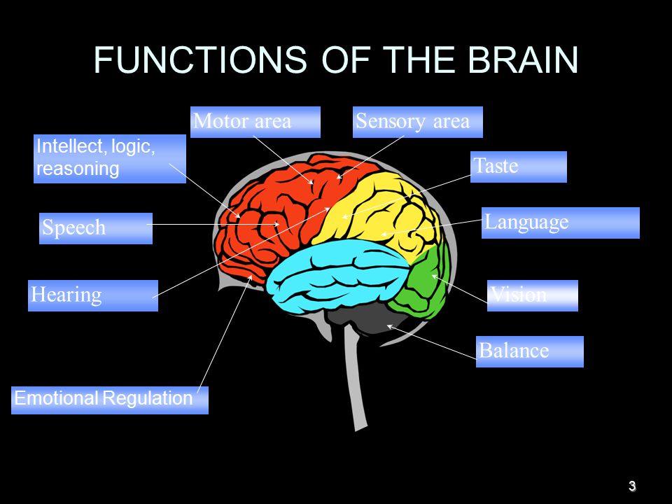 Brain tasks. Parts of the Brain. Brain Parts and functions. Функции головного мозга. Brain function for Kids.
