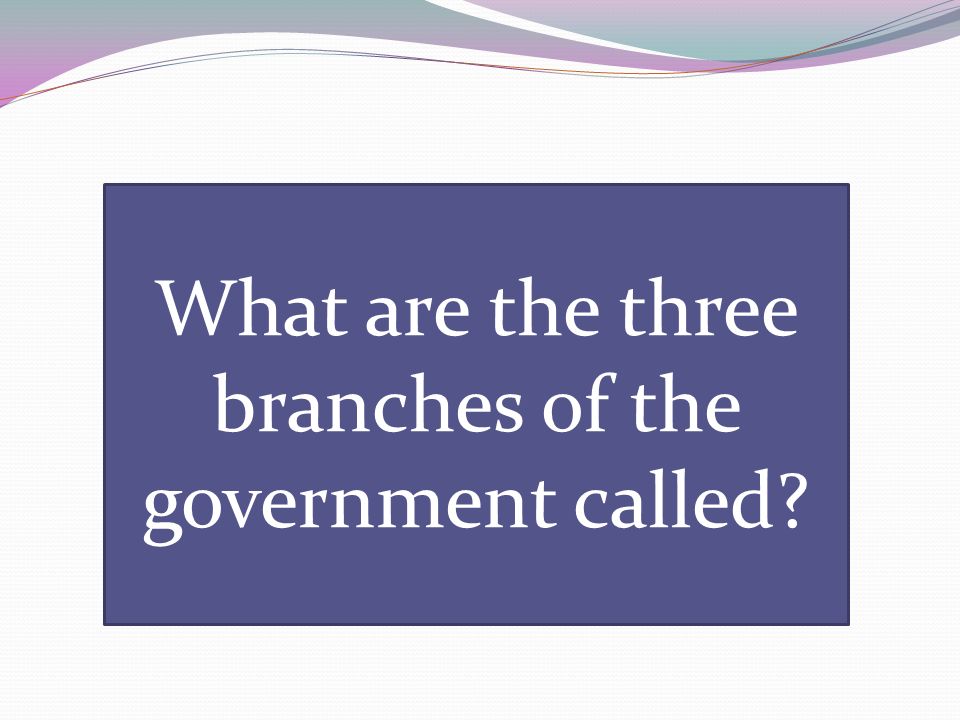 What are the three branches of the government called