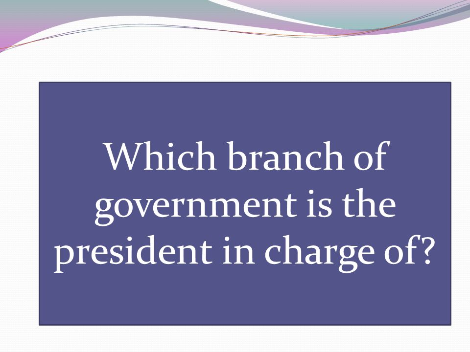 Which branch of government is the president in charge of