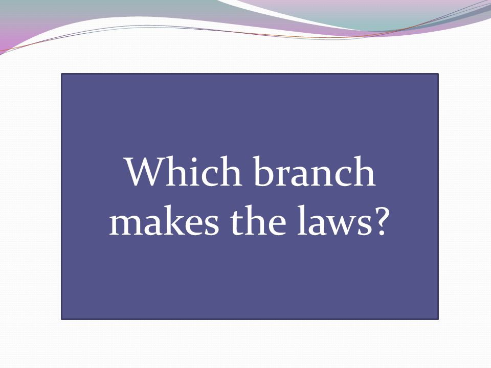 Which branch makes the laws