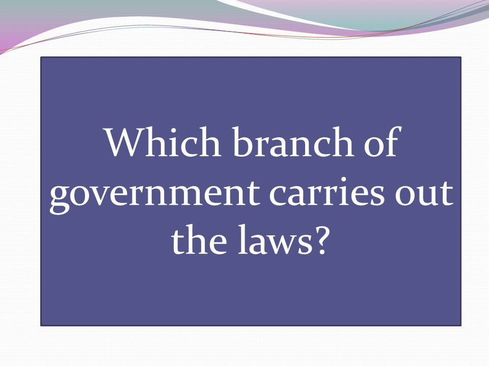 Which branch of government carries out the laws