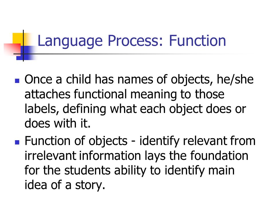 Language Process: Function