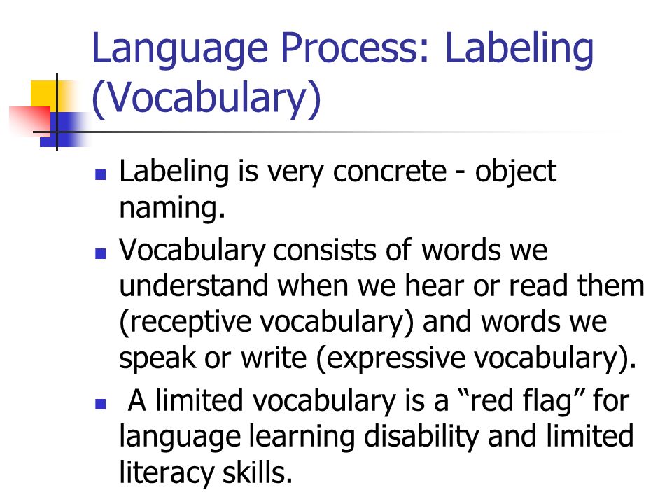 Language Process: Labeling (Vocabulary)