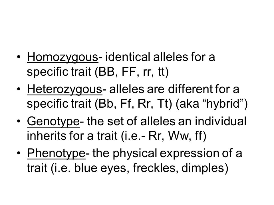 Homozygous- identical alleles for a specific trait (BB, FF, rr, tt)