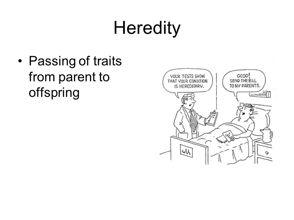 Heredity Passing of traits from parent to offspring