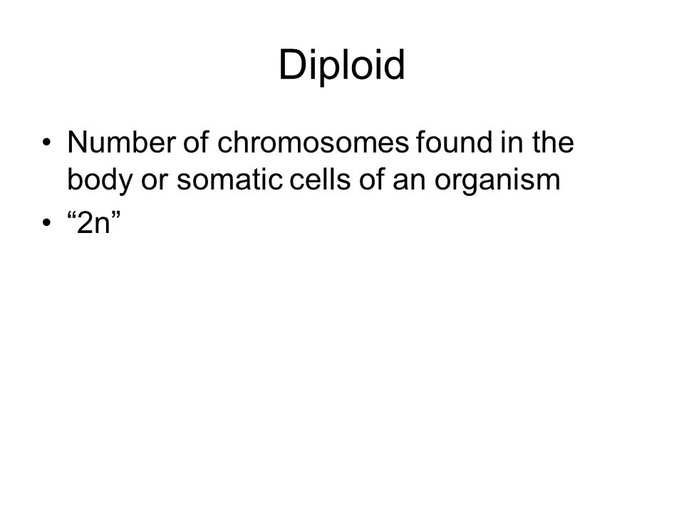 Diploid Number of chromosomes found in the body or somatic cells of an organism 2n