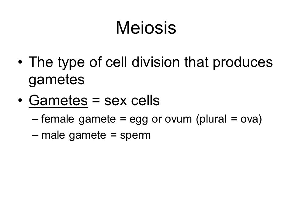Meiosis The type of cell division that produces gametes