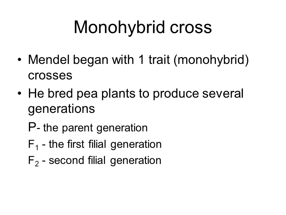 Monohybrid cross Mendel began with 1 trait (monohybrid) crosses